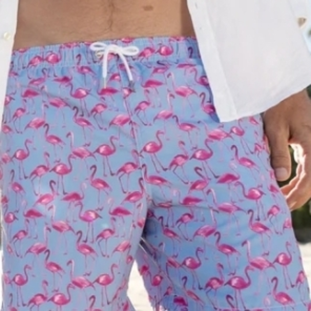Flamingo Print Swim Trunks - Blue and Pink